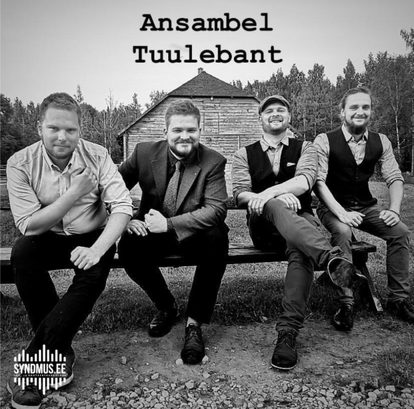 Ansambel Tuulebant esinemas laval, koosseisus lõõtsamängija, viiuldaja, kitarrist, bassimängija ja helitehnik.